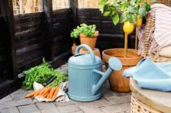 Klassisk Vandkande 6 Klassisk Vandkande -Køkkengrej Discountbutik 3990 04fdb6e2 ffc6 4c01 9352 d39b16144984