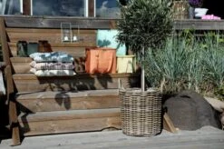 Solar Lanterne 6 Solar Lanterne -Køkkengrej Discountbutik 3990 0793b950 2d83 4b61 a229 5618dca4176c