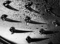 Staub Braisers Chistera Sauterpande -Køkkengrej Discountbutik 3990 086f7cca 6746 4f69 a9c1 c035d386d7fa