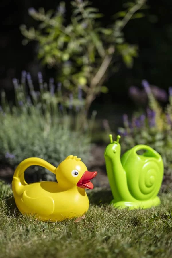 Vandkande - And 4 Vandkande - And - Billede 2