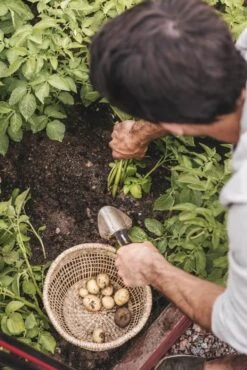 Fiskars Xact Planteske -Køkkengrej Discountbutik 3990 0c6432c8 9e79 4de1 932b ba3649ba1cd8