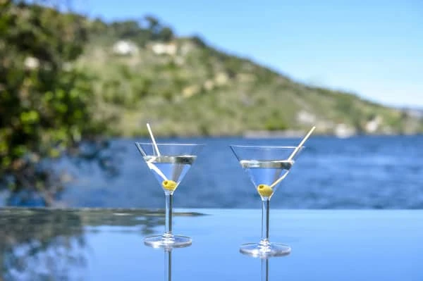 Bodum Oktett Martiniglas - 4 Stk. 4 Bodum Oktett Martiniglas - 4 Stk. - Billede 2