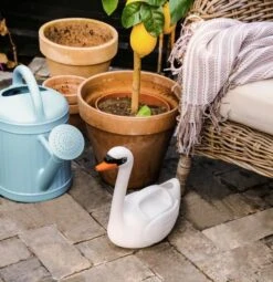 Klassisk Vandkande 7 Klassisk Vandkande -Køkkengrej Discountbutik 3990 1cf771c4 2882 4277 8898 2a9312680649