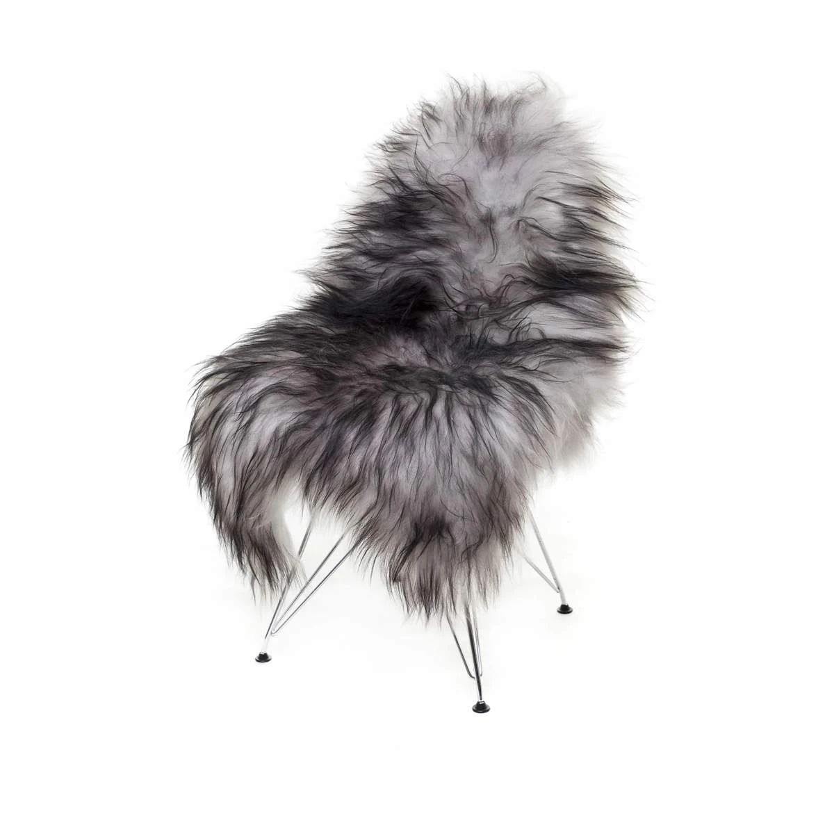 Lammeskind 3 Lammeskind