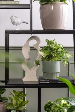 Leitmotiv Fushion Reol