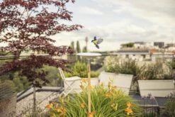 Gardena ClickUp Fuglebad -Køkkengrej Discountbutik 3990 331f0910 f642 477c b811 c8b8505173e2