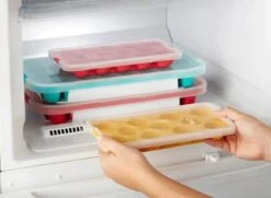 Lekue Isterningeform Musling -Køkkengrej Discountbutik 3990 383f82f4 7aba 409e 91b9 88a9232f679b