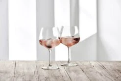 Encore Ginglas - 2 Stk. -Køkkengrej Discountbutik 3990 45ac096a 5861 4d7f bae0 fdab36aeb3b6