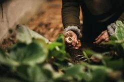 Fiskars Xact Håndrive -Køkkengrej Discountbutik 3990 49e31808 9149 4346 8ffb 97b8af1618a2