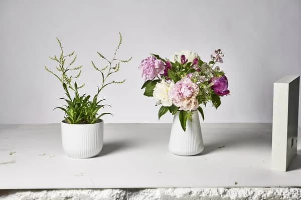 Legio Nova Vase 4 Legio Nova Vase - Billede 2