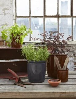 Knabstrup Keramik Syltekrukke -Køkkengrej Discountbutik 3990 5d97706c bab1 4ba9 9c30 e5fcbeb90a63