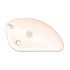 Kochblume Dejskraber