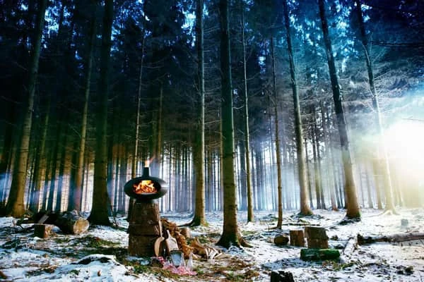 Morsø Forno Udeovn 4 Morsø Forno Udeovn - Billede 2