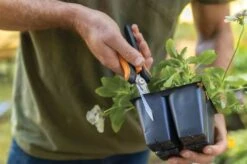 Fiskars Snip Saks SP320 -Køkkengrej Discountbutik 3990 7653a69e 7f8e 427f 9034 e79c83cbf4da