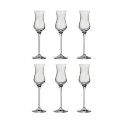 Leonardo Grappa Glas - 6 Stk.