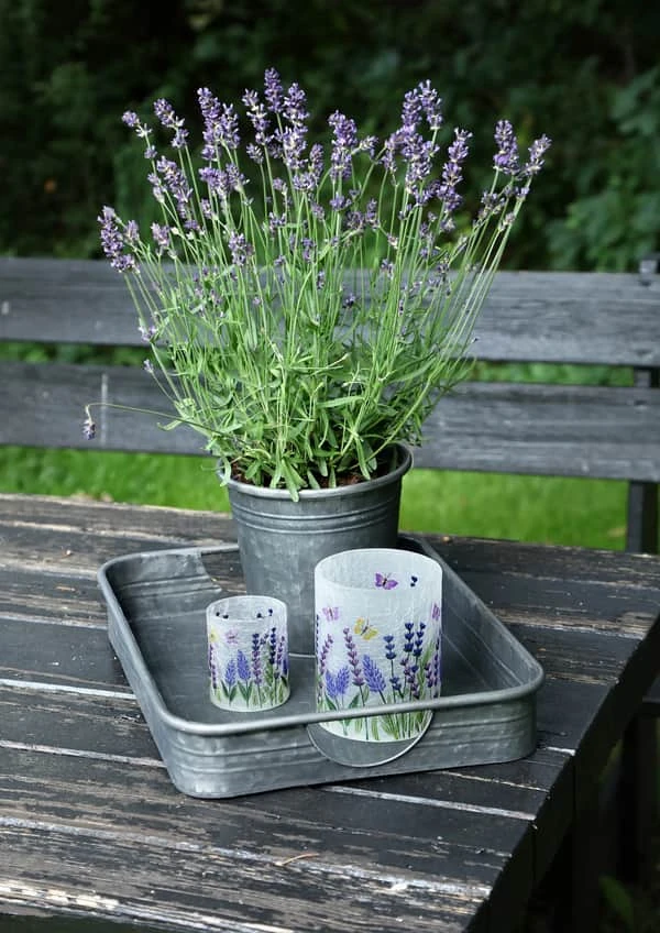 Bakke 5 Bakke - Billede 3