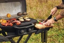 Napoleon TravelQ Phantom Grill PRO285X 15 Napoleon TravelQ Phantom Grill PRO285X -Køkkengrej Discountbutik 3990 a9228191 7431 4ab4 be38 c2e41758b49e