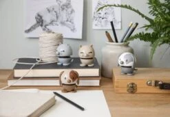 Hoptimist Animal Kat 7 Hoptimist Animal Kat -Køkkengrej Discountbutik 3990 aceb1ea6 6ef6 44bb 872f 0878b8de753a