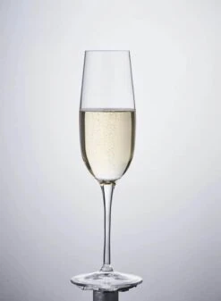 Luigi Bormioli Palace Champagneglas - 6 Stk. 8 Luigi Bormioli Palace Champagneglas - 6 Stk. -Køkkengrej Discountbutik 3990 af2e7c75 6fd1 4b8e a35a cf6d4b5f8833