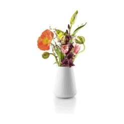 Legio Nova Vase 9 Legio Nova Vase -Køkkengrej Discountbutik 3990 aff0ac7f 8e45 464c 85ee 3591c3f2eb36