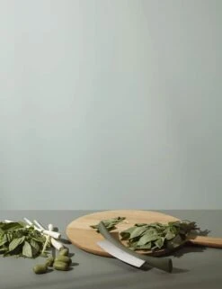 Eva Solo Green Tool Vuggekniv -Køkkengrej Discountbutik 3990 bca8650e 81be 4aaa 95dd ea02ba5f859c