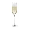 Holmegaard Cabernet Champagneglas -Køkkengrej Discountbutik 3990 d9ed74c7 d951 4fbf af4f 06794f9564b5