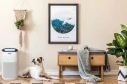 Vigga Luftrenser 7 Vigga Luftrenser -Køkkengrej Discountbutik 3990 e3350702 fe75 47fa b31a f9bc80a2dc16