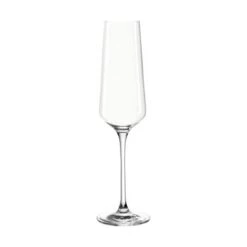 Leonardo Puccini Champagneglas - 6 Stk. -Køkkengrej Discountbutik 3990 fa6dbb48 1c7c 431e a5f1 7b74e4c2bc76